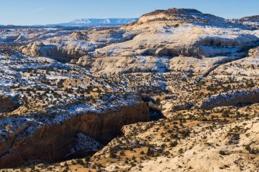 RCM06663-UT Lightning Tour 12-2021-211218-42.jpg