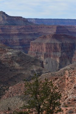 Grand Canyon 015resize.JPG