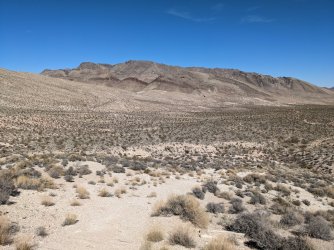 2022-03-11 14.39.23.jpg