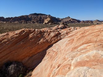 2022-03-11 16.03.01.jpg