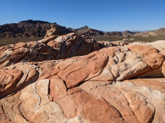 2022-03-11 16.08.15.jpg