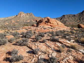 2022-03-11 16.42.15.jpg