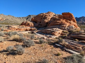 2022-03-11 16.42.51.jpg