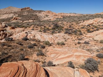 2022-03-12 13.09.45.jpg