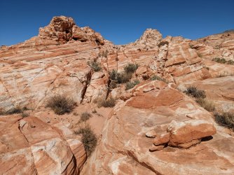 2022-03-12 13.25.16.jpg