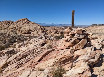 2022-03-12 14.23.19.jpg