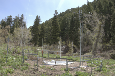 Screen Shot 2022-03-18 at 11.01.16 PM.png