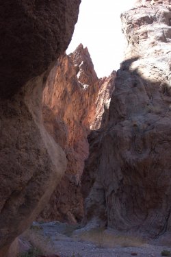 _DSC5043.ARW (1).jpg