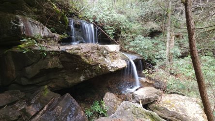 20220325_075536.jpg 20220325_075536.jpg