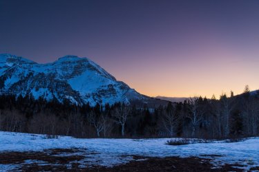 RCM00441-2022 Wanderings 2022-220325-4.jpg