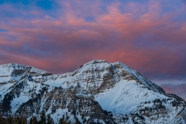 RCM00546-2022 Wanderings 2022-220326-1.jpg