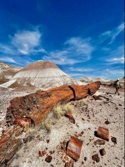 38FA2DE6-A8F9-4367-B264-8B807E8C9C60.jpeg 38FA2DE6-A8F9-4367-B264-8B807E8C9C60.jpeg