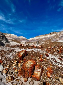 451EB16D-15D1-45F6-9D15-06EF6F8F269D.jpeg 451EB16D-15D1-45F6-9D15-06EF6F8F269D.jpeg