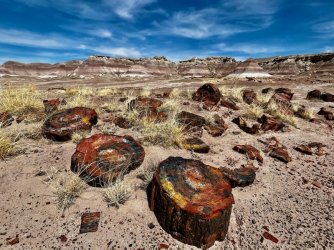 57C5250D-B9A9-43BF-B42E-2616E63B2BA2.jpeg 57C5250D-B9A9-43BF-B42E-2616E63B2BA2.jpeg