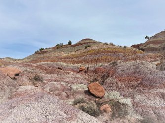 IMG_1364 (2).JPG IMG_1364 (2).JPG