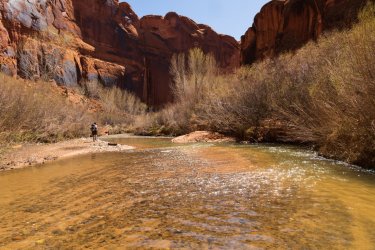 RCM01305- 2022-220402-62.jpg