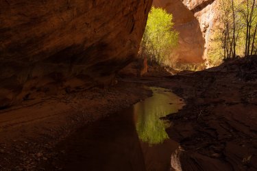 RCM01347- 2022-220402-65.jpg