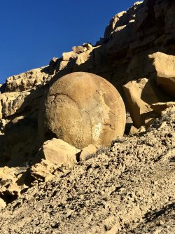 IMG_1678.jpeg IMG_1678.jpeg