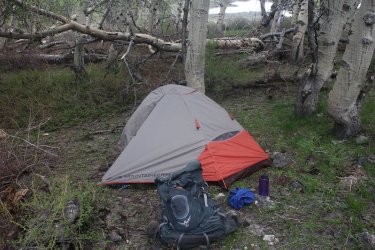 Tent_20.jpg