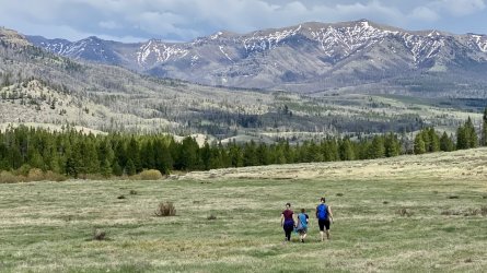 B5E5CC12-C60E-4874-8899-7BCA30E54DA0.jpeg B5E5CC12-C60E-4874-8899-7BCA30E54DA0.jpeg