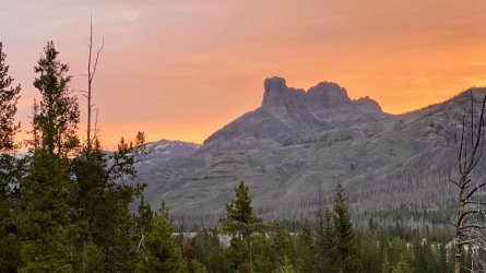 5A552ABA-F54C-4B82-B4E7-62B92CA7AAF6.jpeg 5A552ABA-F54C-4B82-B4E7-62B92CA7AAF6.jpeg