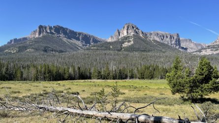 EDCB6502-BFBC-4531-BBA4-257B89191240.jpeg EDCB6502-BFBC-4531-BBA4-257B89191240.jpeg