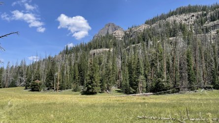 1C57B7F7-EF9F-4CCB-81CD-22D055E18B8A.jpeg 1C57B7F7-EF9F-4CCB-81CD-22D055E18B8A.jpeg