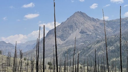 A6050DDC-F9C8-4AE8-8905-835C39C7490D.jpeg A6050DDC-F9C8-4AE8-8905-835C39C7490D.jpeg