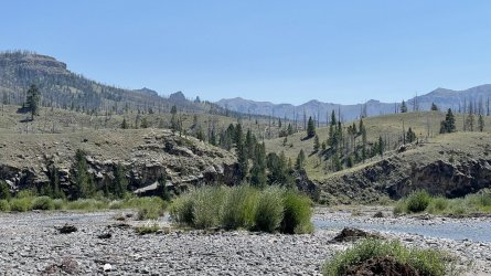 B1BA2E1D-0746-4448-B65F-4C8395E965FF.jpeg B1BA2E1D-0746-4448-B65F-4C8395E965FF.jpeg