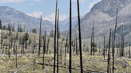 A4DB7ADA-83A0-478F-8A33-77E09E4EF857.jpeg A4DB7ADA-83A0-478F-8A33-77E09E4EF857.jpeg