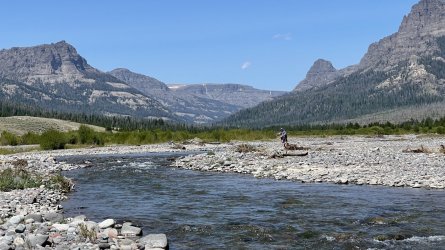 0EF4109A-EB2B-46FE-A582-94BF3C991E0A.jpeg 0EF4109A-EB2B-46FE-A582-94BF3C991E0A.jpeg