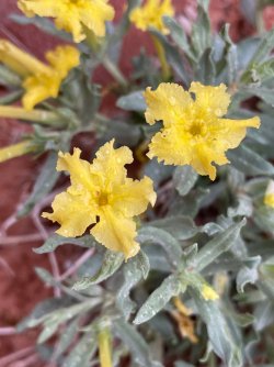 IMG_2763.jpg IMG_2763.jpg