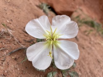 IMG_2744.jpg IMG_2744.jpg