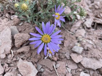 IMG_2584.jpg IMG_2584.jpg