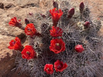 IMG_2526.jpg IMG_2526.jpg