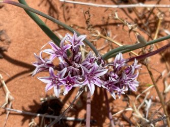 IMG_2405.jpg IMG_2405.jpg