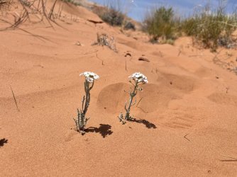 IMG_2411.jpg IMG_2411.jpg