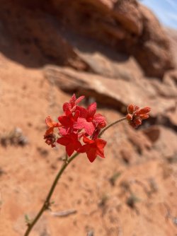 IMG_2399.jpg IMG_2399.jpg