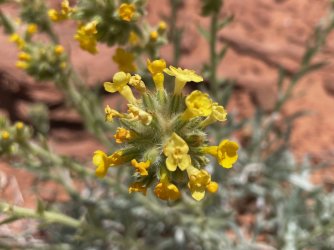 IMG_2383.jpg IMG_2383.jpg