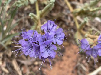 IMG_2315.jpg IMG_2315.jpg