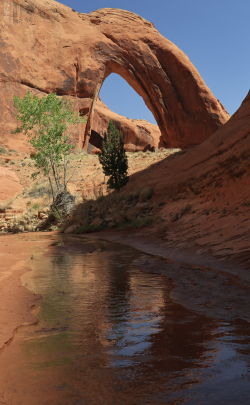 Broken_Bow_Arch_Reflect.png