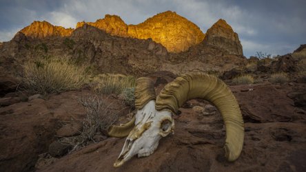 Mojave-Sonoran Trail thru hike 2021_005.jpg