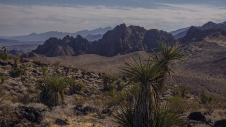 Mojave-Sonoran Trail thru hike 2021_006.jpg