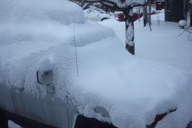 in CO.jpg