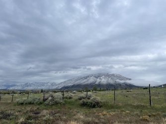 IMG_1533.jpg