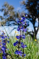 DSC_0221.jpg DSC_0221.jpg