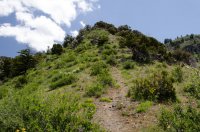 DSC_0233.jpg DSC_0233.jpg