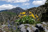 DSC_0242.jpg DSC_0242.jpg