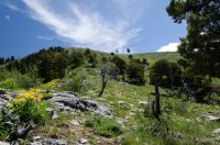 DSC_0248.jpg DSC_0248.jpg