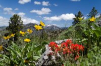 DSC_0258.jpg DSC_0258.jpg